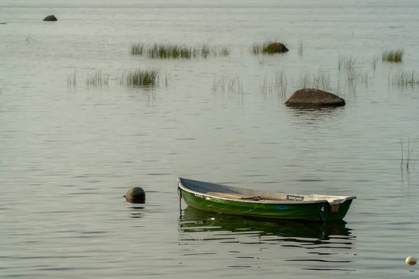 Barcos pesqueros fondeados en las cañas de las aguas poco profundas del Golfo de Finlandia . — Foto de Stock