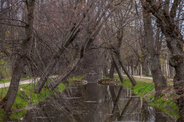 Russland Petrodworez Die Historische Samsonievsky Wasserleitung Die Die Brunnen Von — Stockfoto
