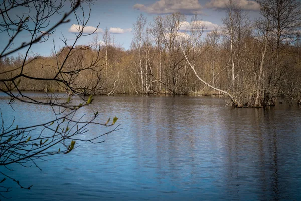 Frühling Ansichten von Landschaftsparks und Plätzen von Sankt Petersburg — Stockfoto