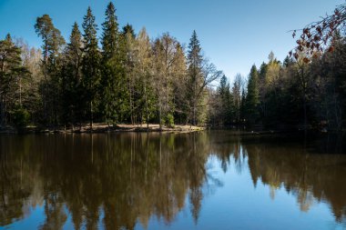 Saint Petersburg 'un bahar manzaralı parkları ve meydanları