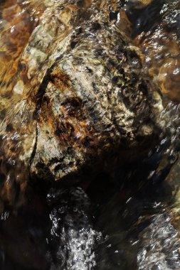 stone under the mountain water, note shallow depth of field