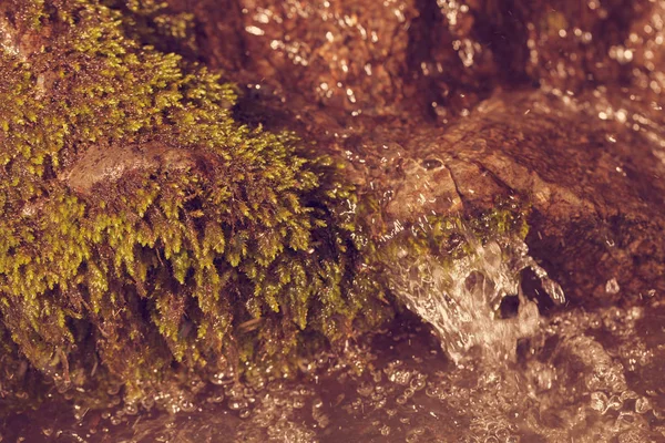 Clear Mountain Running Water Note Shallow Depth Field — Stock Photo, Image