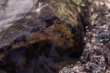 Berrak dağ suyundaki kayalar, yüzeysel alan derinliğine dikkat edin.