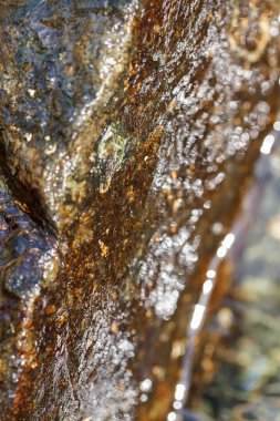 stone under the mountain water, note shallow depth of field