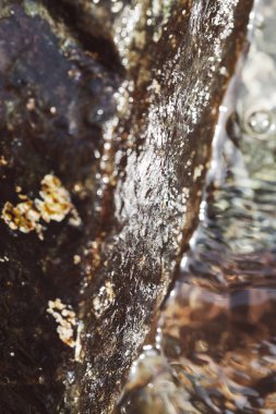 stone under the mountain water, note shallow depth of field
