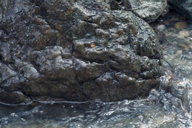 Berrak dağ suyundaki kayalar, yüzeysel alan derinliğine dikkat edin.