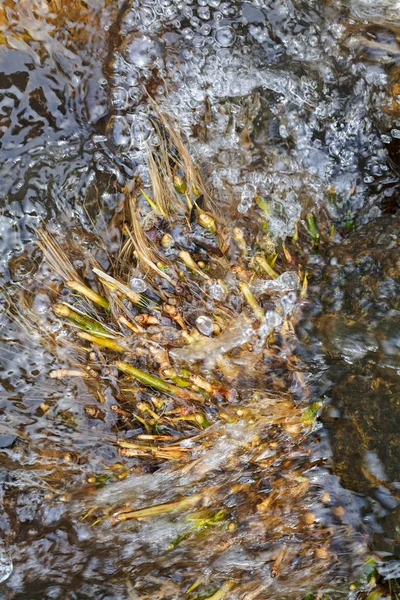 带植被的抽象山水 注意田野的浅层深度 — 图库照片