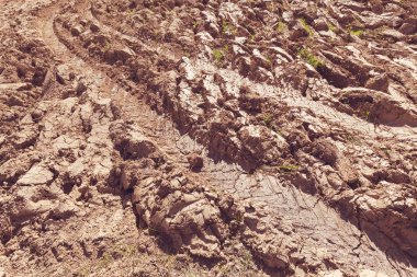 plowed land on the edge of the forest , note shallow depth of field