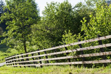 Ormandaki çiftliğin etrafındaki ahşap çitler, sığ alan derinliğine dikkat edin.