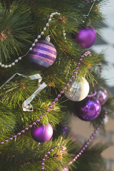 クリスマスツリーの紫色の装飾 フィールドの浅い深さに注意してください — ストック写真