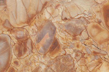 Kahverengi ve ahtapot gölgeli mermer zemin