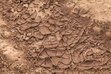 Doğada kurumuş çamur, yüzeysel alan derinliğine dikkat edin.