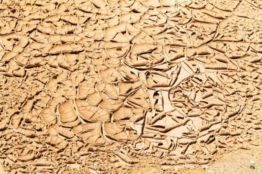 Doğada kurumuş çamur, yüzeysel alan derinliğine dikkat edin.