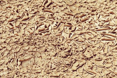 Doğada kurumuş çamur, yüzeysel alan derinliğine dikkat edin.