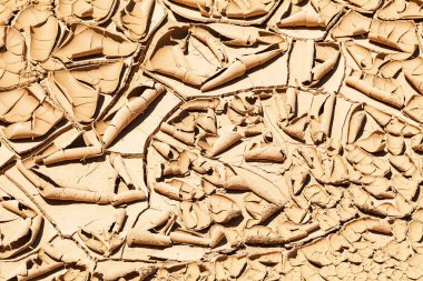 Kurumuş ve çatlamış çamurun izleri, derin alan derinliğine dikkat edin.