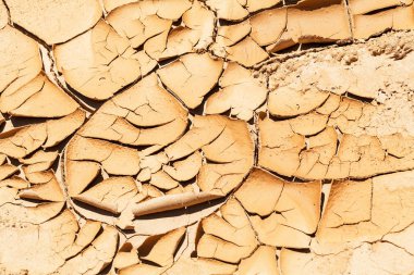 Kurumuş ve çatlamış çamurun izleri, derin alan derinliğine dikkat edin.