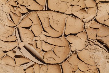 Kurumuş ve çatlamış çamurun izleri, derin alan derinliğine dikkat edin.