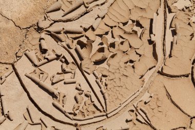 Kurumuş ve çatlamış çamurun izleri, derin alan derinliğine dikkat edin.