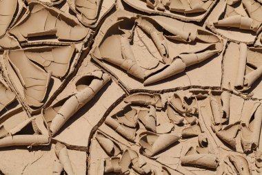 Kurumuş ve çatlamış çamurun izleri, derin alan derinliğine dikkat edin.