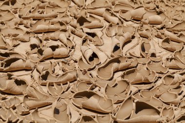 Kurumuş ve çatlamış çamurun izleri, derin alan derinliğine dikkat edin.