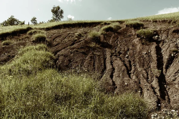 earth and grass on the landslide, note shallow depth of field