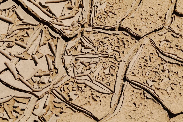 Kurumuş ve çatlamış çamurun izleri, derin alan derinliğine dikkat edin.