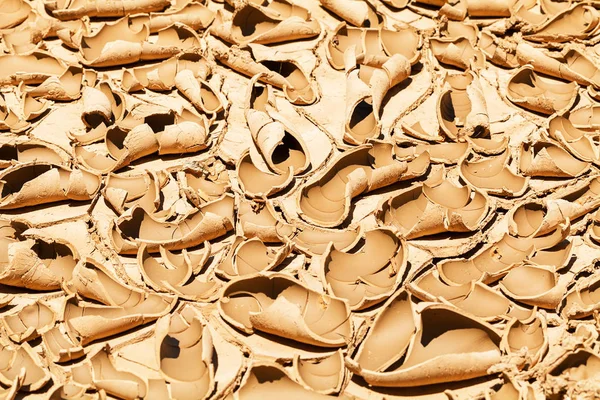 Kurumuş ve çatlamış çamurun izleri, derin alan derinliğine dikkat edin.