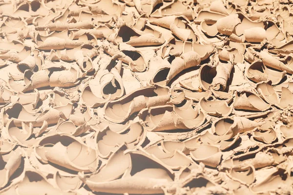 Kurumuş ve çatlamış çamurun izleri, derin alan derinliğine dikkat edin.