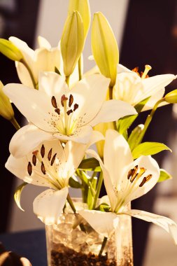 Orkidelerin ikebana 'sı, alan derinliğine dikkat et.