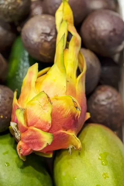Unripe Pitahaya Dragon Fruit — Stock Photo, Image
