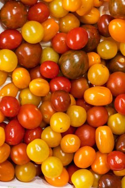 Olgunlaşmanın çeşitli aşamalarında kiraz domatesleri, alanın sığ derinliğine dikkat edin.