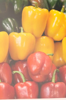 sarı, kırmızı ve yeşil dolma biber