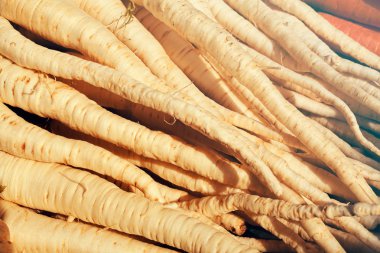 Yaban havucu yığını, derin alan derinliğine dikkat edin