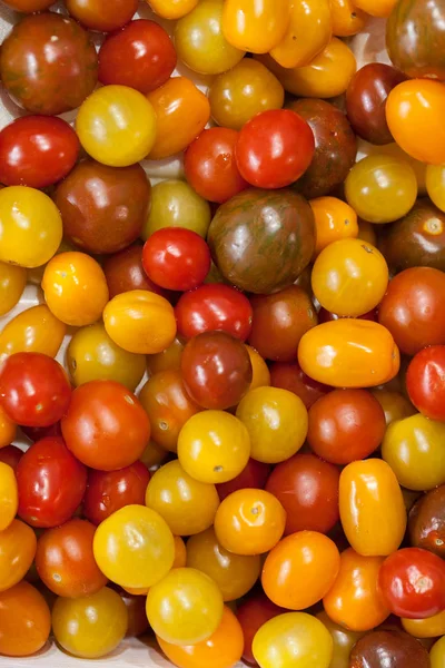 Olgunlaşmanın çeşitli aşamalarında kiraz domatesleri, alanın sığ derinliğine dikkat edin.