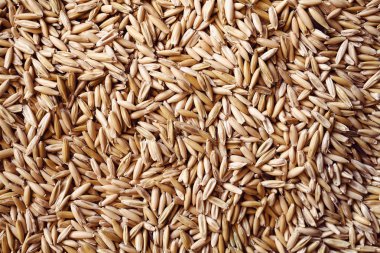 Çok miktarda tahıl