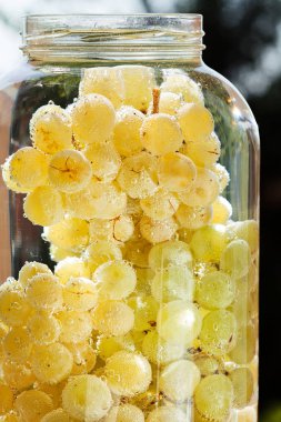 white grapes in water in a glass vessel, note shallow depth of field