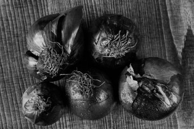red onions on a  wooden board, note shallow depth of field
