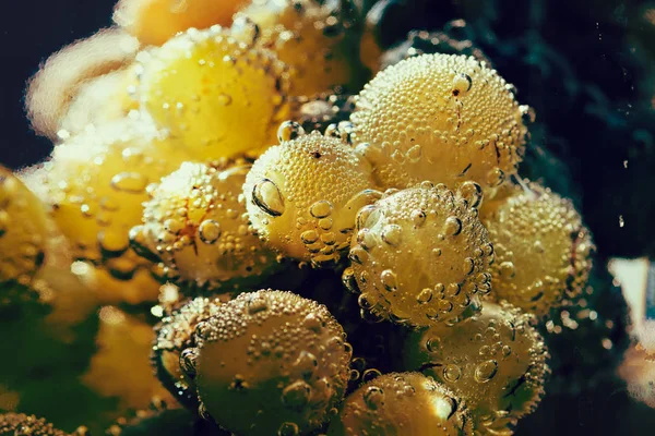 abstraction grain white grape in waterl, note shallow depth of field