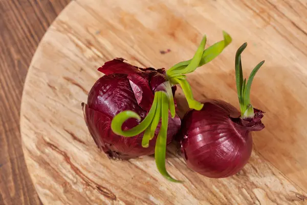 Red Onions Wooden Board Note Shallow Depth Field — Stockfoto