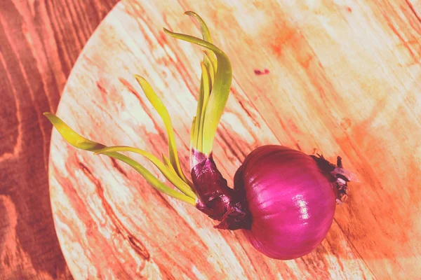 Rode Uien Een Ronde Houten Plank Ondiepe Velddiepte Noteren — Stockfoto