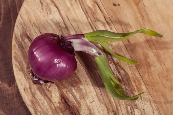 Rode Uien Een Ronde Houten Plank Ondiepe Velddiepte Noteren — Stockfoto