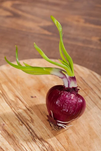 Rode Uien Een Ronde Houten Plank Ondiepe Velddiepte Noteren — Stockfoto