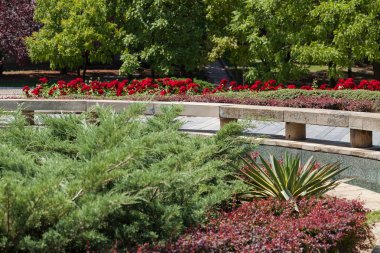 Parktaki organize çiçekler, tarlanın sığ derinliğine dikkat edin