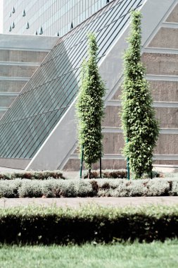 Binanın etrafındaki parkın peyzajı, sığ alan derinliğine dikkat edin