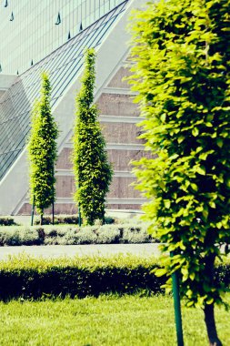 Binanın etrafındaki parkın peyzajı, sığ alan derinliğine dikkat edin