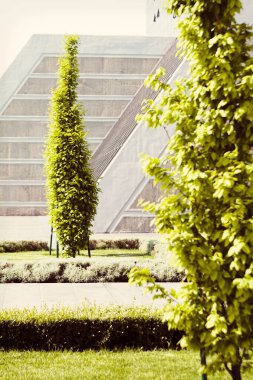 Binanın etrafındaki parkın peyzajı, sığ alan derinliğine dikkat edin