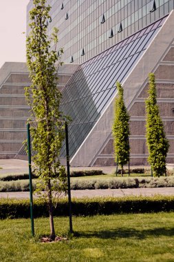 Binanın etrafındaki parkın peyzajı, sığ alan derinliğine dikkat edin