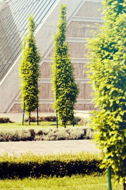 Binanın etrafındaki parkın peyzajı, sığ alan derinliğine dikkat edin
