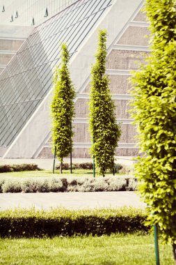 Binanın etrafındaki parkın peyzajı, sığ alan derinliğine dikkat edin