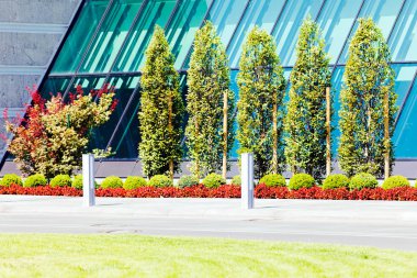 Binanın etrafındaki parkın peyzajı, sığ alan derinliğine dikkat edin